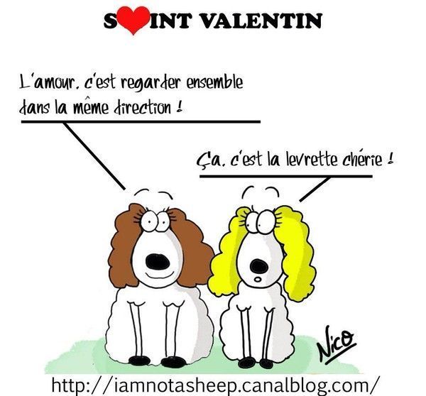 Souvenir de la Saint Valentin