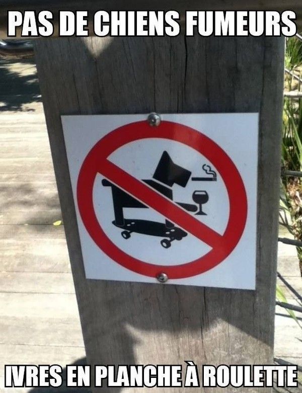 Pas de chien fumeur...