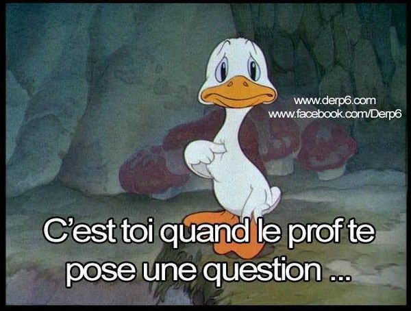 Quand le prof te pose une question...