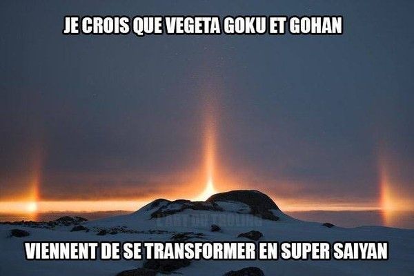 Vegeta, Goku & Gohan sont bien présents