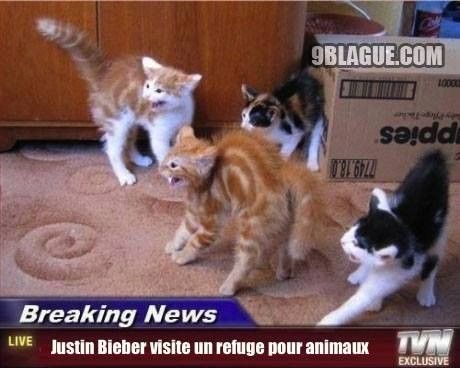 Justin Bieber visite un refuge pour animaux