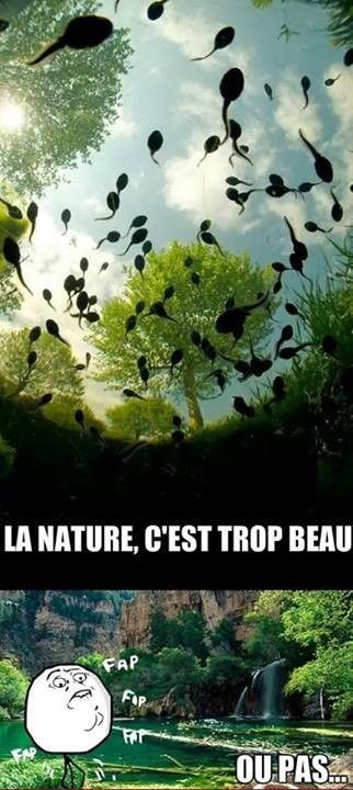La nature c'est trop beau... Ou pas...