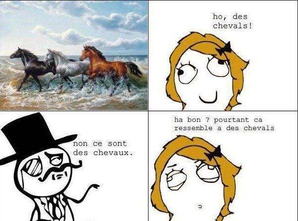 Les chevals ou les chevaux ?