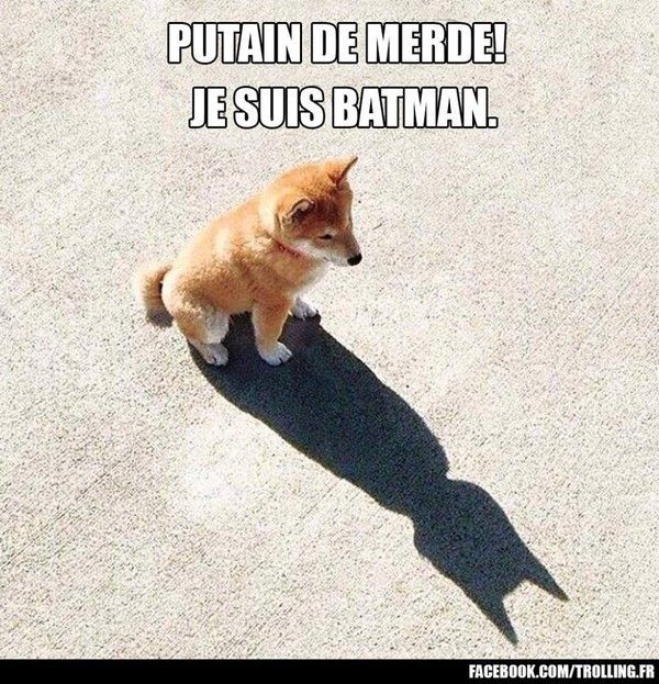 Putain de merde... Je suis Batman...