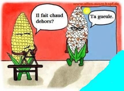 L'histoire du maïs en été