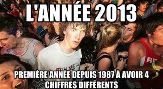 L'année 2013