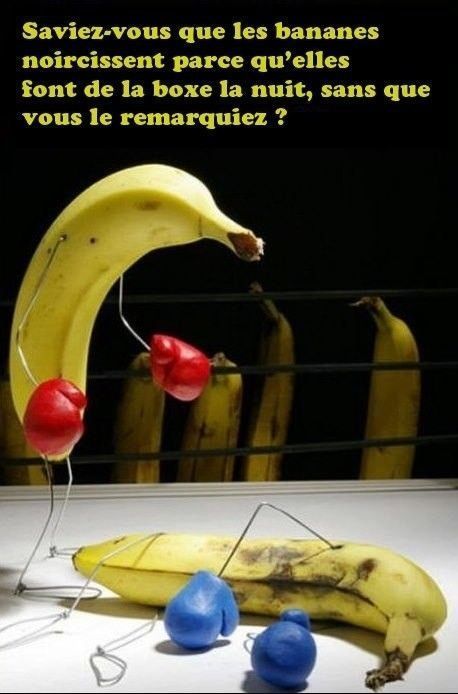 La nuit... La vie des bananes...