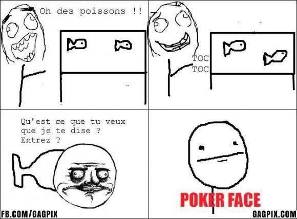 Vie de poisson rouge 