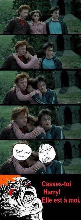 Harry Potter, ForEver Alone ou casse pied ?