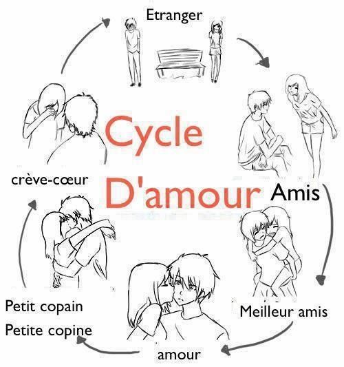 Cycle d'amour