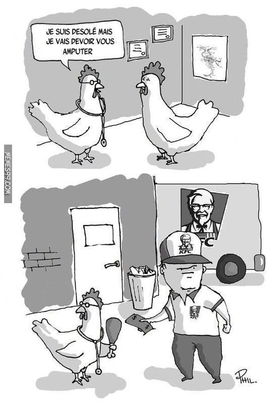 Scandale alimentaire : traffic d'organes chez les poulets