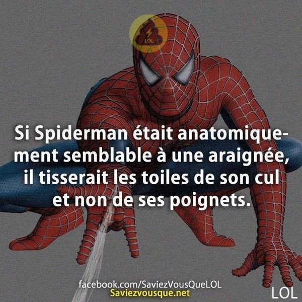 L'anatomie de Spiderman