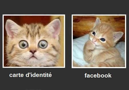 Photo d'identité VS photo profil facebook