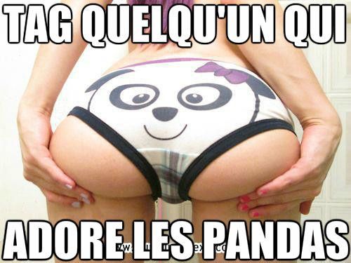 Tag quelqu'un qui adore les pandas