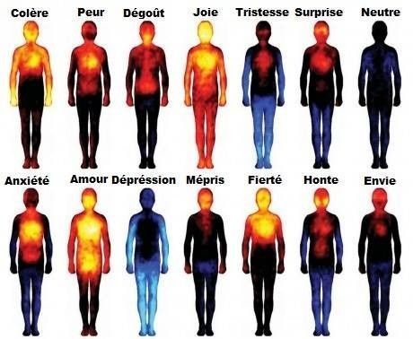 Les émotions humaines en une image