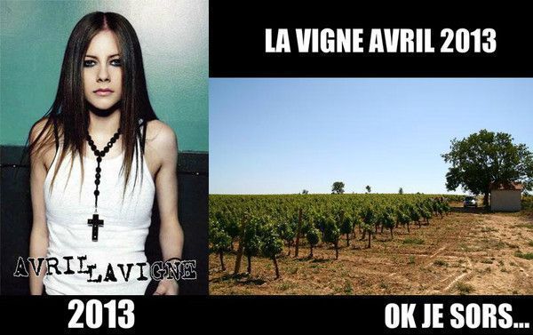 Avril Lavigne dans tous ses états... Ok je sors...