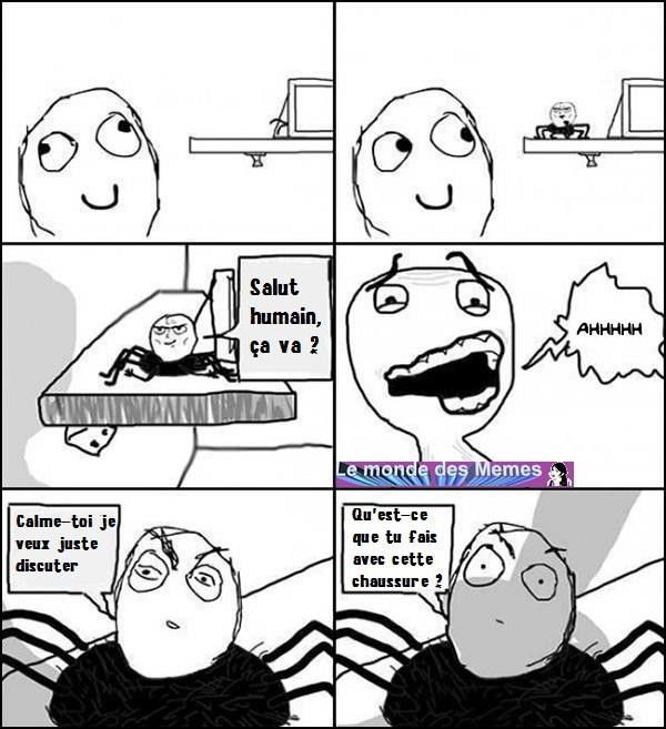 WTF, une araignée qui parle