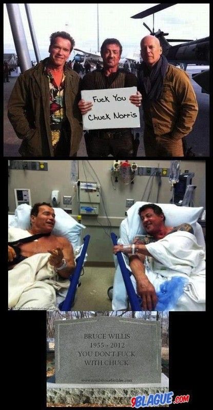 Stallone & Schwarzenegger & Bruce Willis VS Chuck Norris