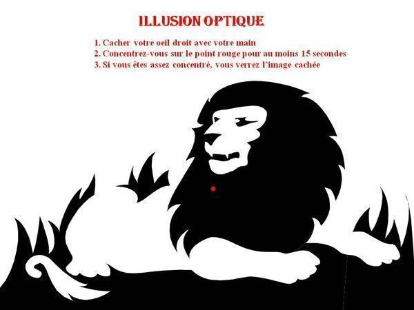 Illusion d'optique...