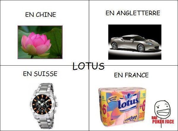 Lotus, 4 pays, 4 marques