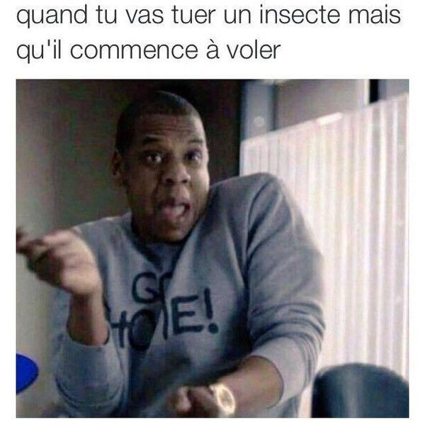 Quand tu vas tuer un insecte