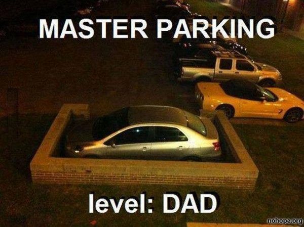 Garer sa voiture : level dad expert