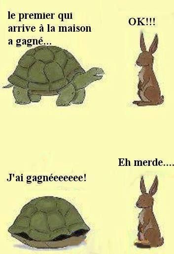 La fable du lièvre et de la tortue