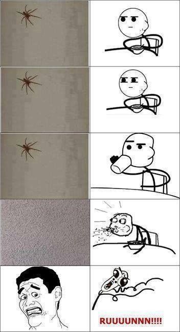 Arachnophobie ?
