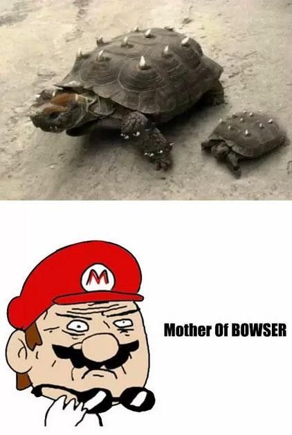 Bowser & Bowser Junior... Ils existent !!!