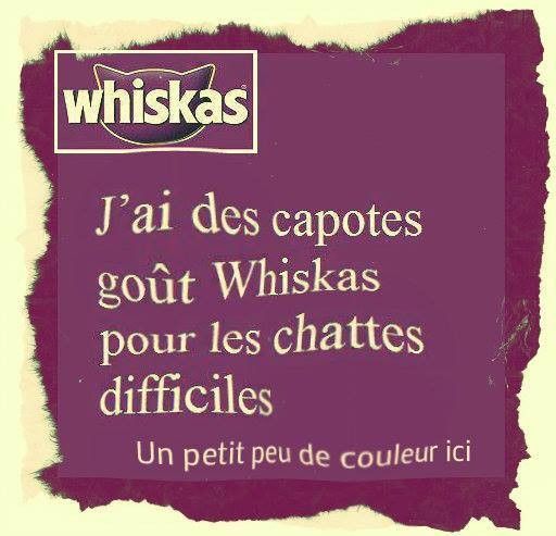 Capotes Whiskas ^^