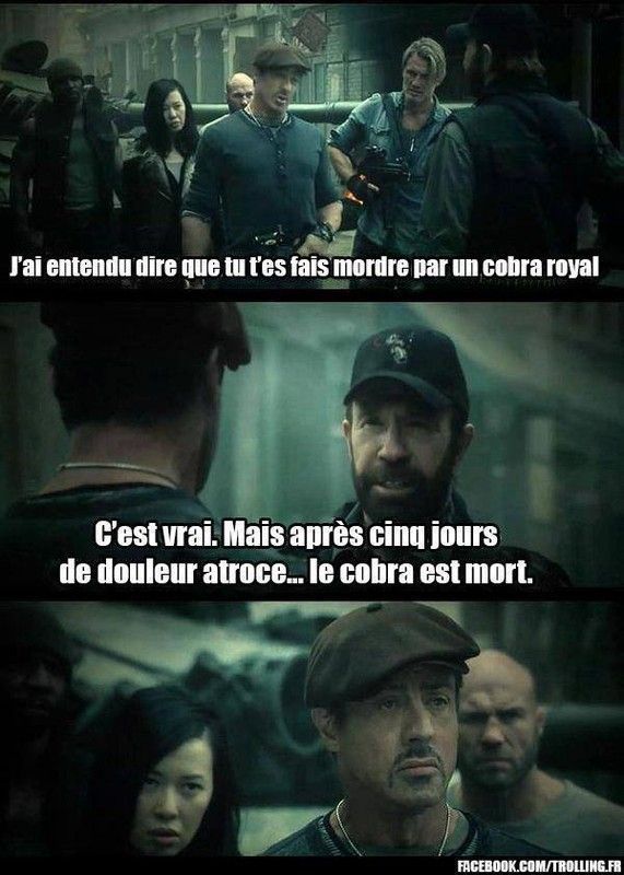 Chuck Norris mordu par un cobra royal !!!